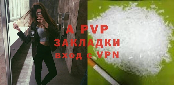 spice Богородицк