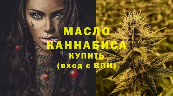 spice Богородицк
