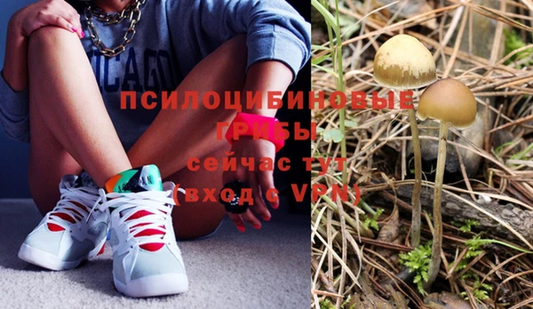 соль курить ск Верхний Тагил