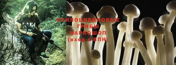 соль ск Бородино
