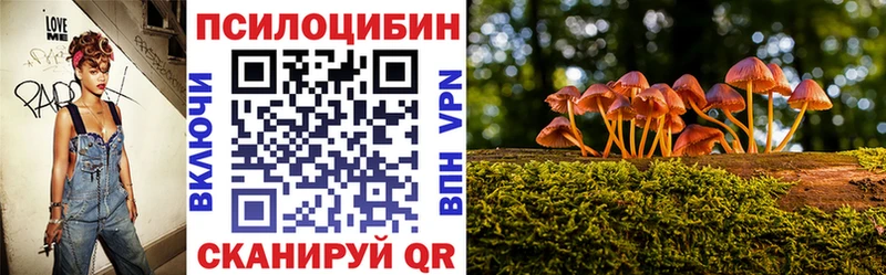 Псилоцибиновые грибы мухоморы где найти наркотики Ейск